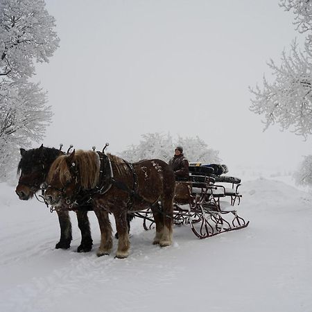 Fokhol Gard Gjestehus Stange Bagian luar foto