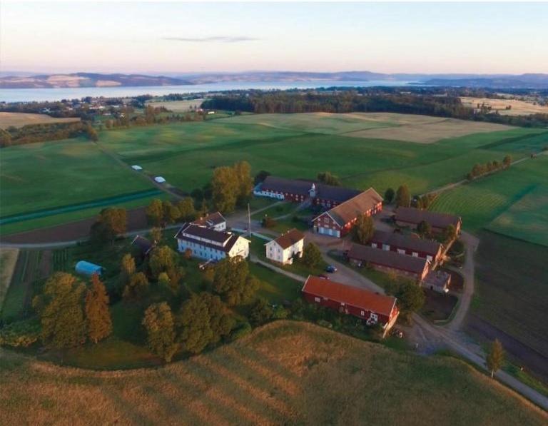 Fokhol Gard Gjestehus Stange Bagian luar foto
