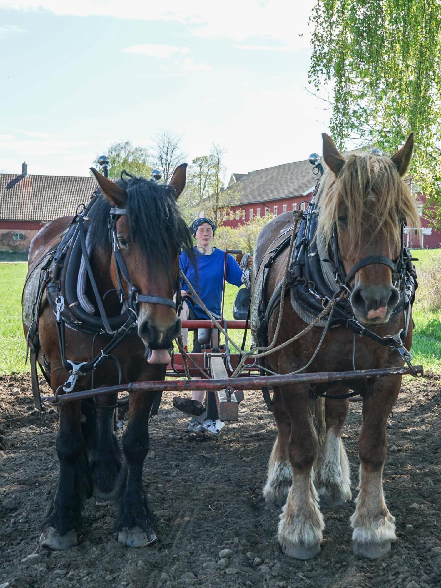 Fokhol Gard Gjestehus Stange Bagian luar foto