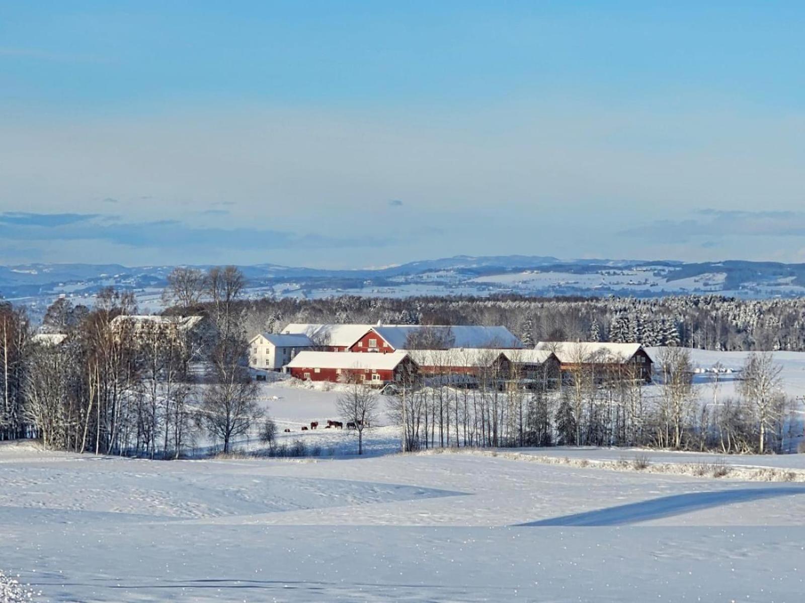 Fokhol Gard Gjestehus Stange Bagian luar foto